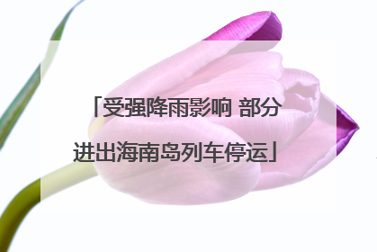 受强降雨影响 部分进出海南岛列车停运