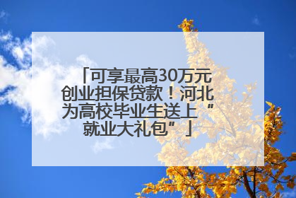 可享最高30万元创业担保贷款！河北为高校毕业生送上“就业大礼包”