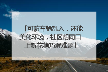 可防车辆乱入，还能美化环境，社区胡同口上新花箱巧解难题