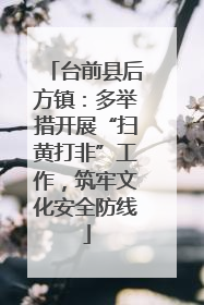 台前县后方镇：多举措开展“扫黄打非”工作，筑牢文化安全防线