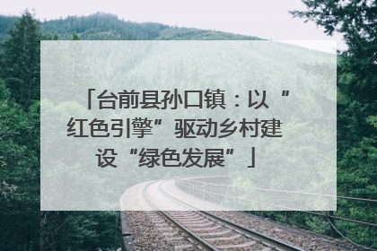 台前县孙口镇：以“红色引擎”驱动乡村建设“绿色发展”
