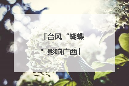 台风“蝴蝶”影响广西