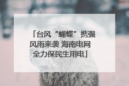 台风“蝴蝶”携强风雨来袭 海南电网全力保民生用电