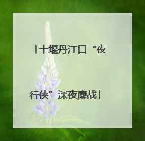 十堰丹江口“夜行侠”深夜鏖战