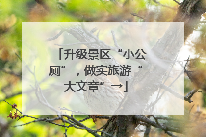 升级景区“小公厕”，做实旅游“大文章”→