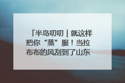 半岛叨叨｜就这样把你“蒸”服！当拉布布的风刮到了山东馒头界……