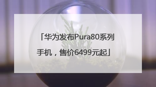 华为发布Pura80系列手机，售价6499元起