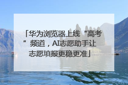 华为浏览器上线“高考”频道，AI志愿助手让志愿填报更稳更准