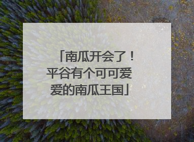 南瓜开会了！平谷有个可可爱爱的南瓜王国