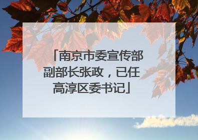 南京市委宣传部副部长张政，已任高淳区委书记
