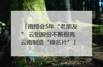 南博会5年“老朋友” 云铝股份不断擦亮云南制造“绿名片”