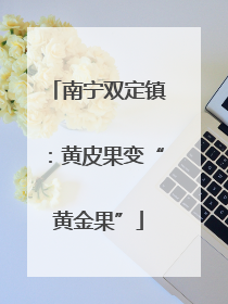 南宁双定镇：黄皮果变“黄金果”