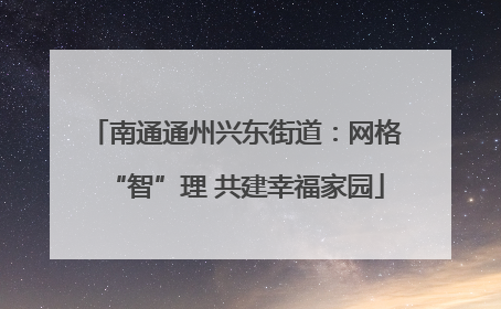 南通通州兴东街道：网格“智”理 共建幸福家园