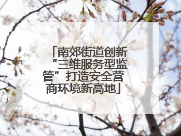 南郊街道创新“三维服务型监管”打造安全营商环境新高地