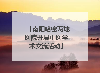 南阳哈密两地医院开展中医学术交流活动