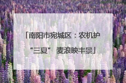 南阳市宛城区：农机护“三夏” 麦浪映丰景