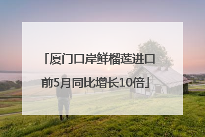 厦门口岸鲜榴莲进口 前5月同比增长10倍