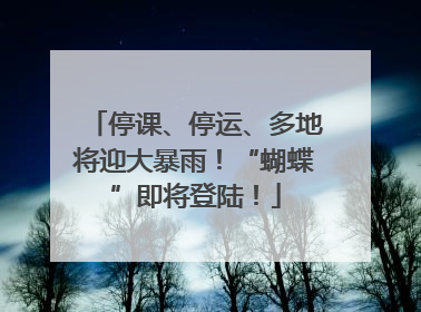 停课、停运、多地将迎大暴雨！“蝴蝶”即将登陆！