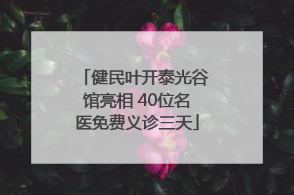 健民叶开泰光谷馆亮相 40位名医免费义诊三天