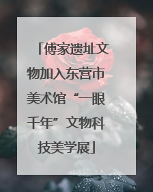 傅家遗址文物加入东营市美术馆“一眼千年”文物科技美学展