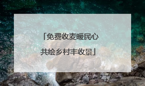 免费收麦暖民心 共绘乡村丰收景