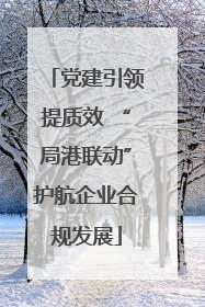 党建引领提质效 “局港联动”护航企业合规发展