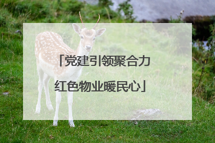 党建引领聚合力 红色物业暖民心