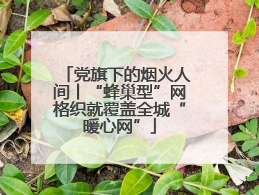 党旗下的烟火人间丨“蜂巢型”网格织就覆盖全城“暖心网”