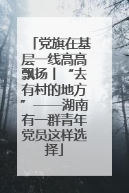 党旗在基层一线高高飘扬丨“去有村的地方”——湖南有一群青年党员这样选择