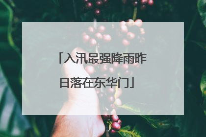 入汛最强降雨昨日落在东华门