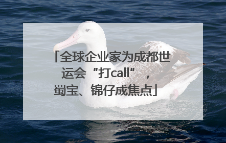 全球企业家为成都世运会“打call”，蜀宝、锦仔成焦点