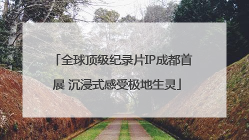 全球顶级纪录片IP成都首展 沉浸式感受极地生灵
