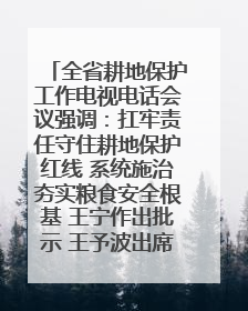 全省耕地保护工作电视电话会议强调：扛牢责任守住耕地保护红线 系统施治夯实粮食安全根基 王宁作出批示 王予波出席并讲话