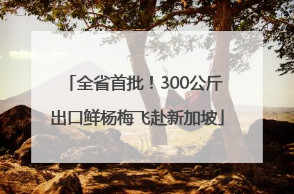 全省首批！300公斤出口鲜杨梅飞赴新加坡