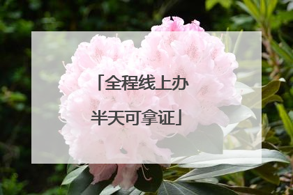 全程线上办 半天可拿证