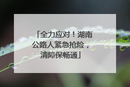 全力应对！湖南公路人紧急抢险，清障保畅通