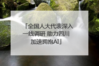 全国人大代表深入一线调研 助力四川加速拥抱AI