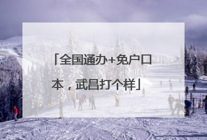 全国通办+免户口本，武昌打个样