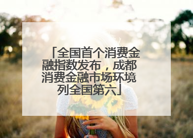 全国首个消费金融指数发布，成都消费金融市场环境列全国第六