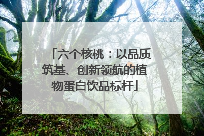 六个核桃：以品质筑基、创新领航的植物蛋白饮品标杆