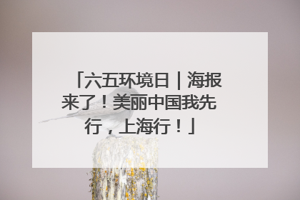 六五环境日｜海报来了！美丽中国我先行，上海行！
