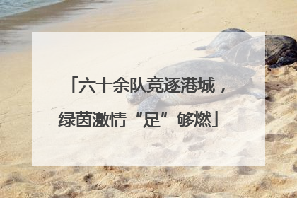 六十余队竞逐港城，绿茵激情“足”够燃