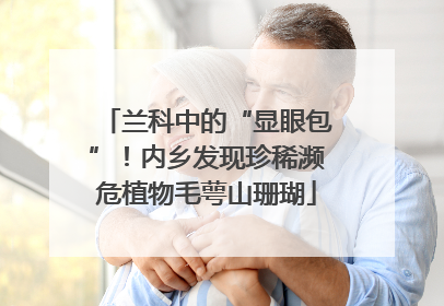 兰科中的“显眼包”！内乡发现珍稀濒危植物毛萼山珊瑚