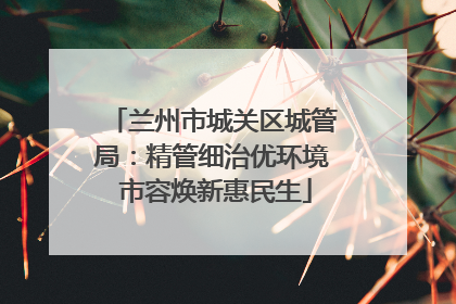 兰州市城关区城管局：精管细治优环境 市容焕新惠民生