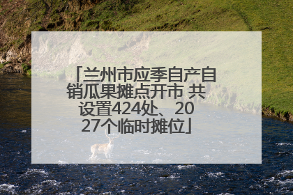 兰州市应季自产自销瓜果摊点开市 共设置424处、2027个临时摊位