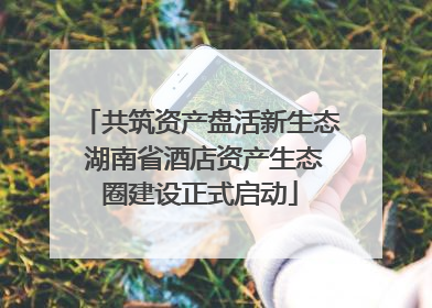 共筑资产盘活新生态 湖南省酒店资产生态圈建设正式启动