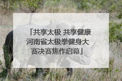 共享太极 共享健康 河南省太极拳健身大赛决赛焦作启幕