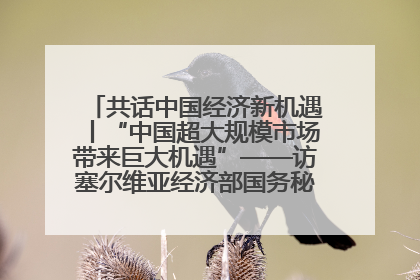 共话中国经济新机遇丨“中国超大规模市场带来巨大机遇”——访塞尔维亚经济部国务秘书尼科利奇