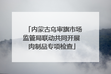 内蒙古乌审旗市场监管局联动共同开展肉制品专项检查