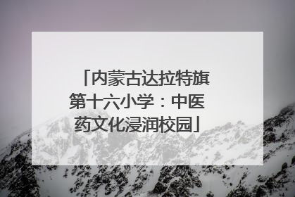 内蒙古达拉特旗第十六小学：中医药文化浸润校园